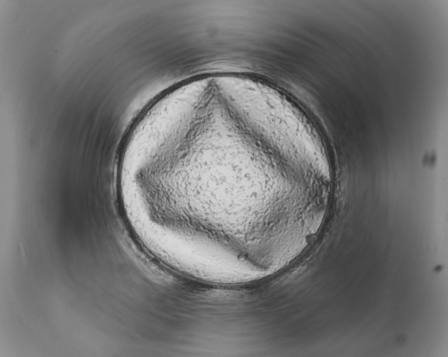 X0000112161179200908281357