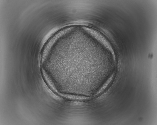 X0000112161180200908281357