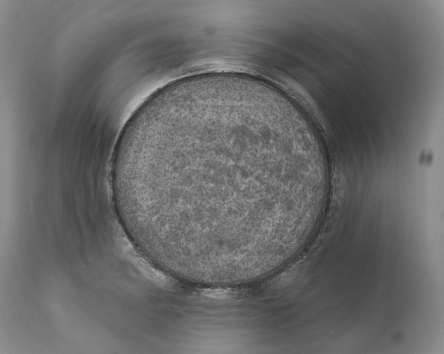 X0000112161182200908281357