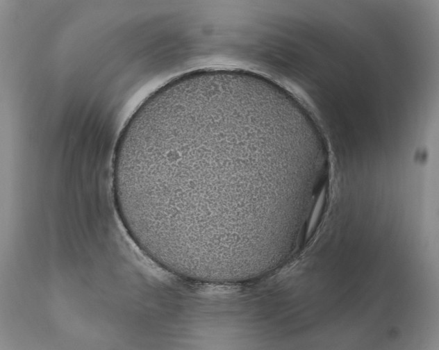 X0000112161183200908281356