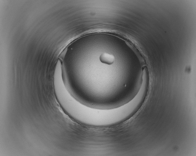 X0000112161185200908281356