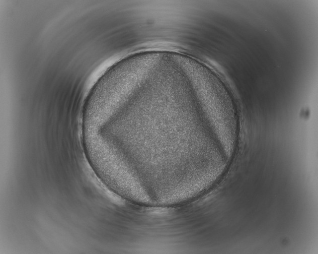 X0000112161188200908281356