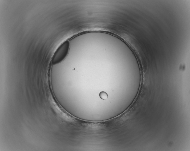 X0000112161189200908281356