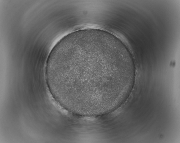 X0000112161190200908281356