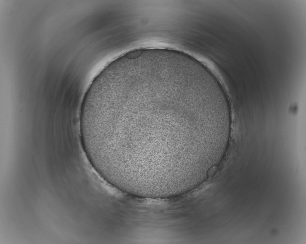 X0000112161191200908281356