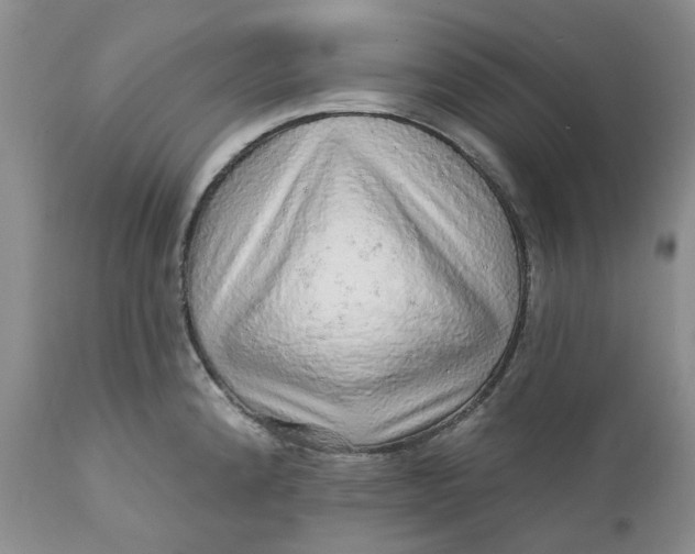 X0000112161192200908281356