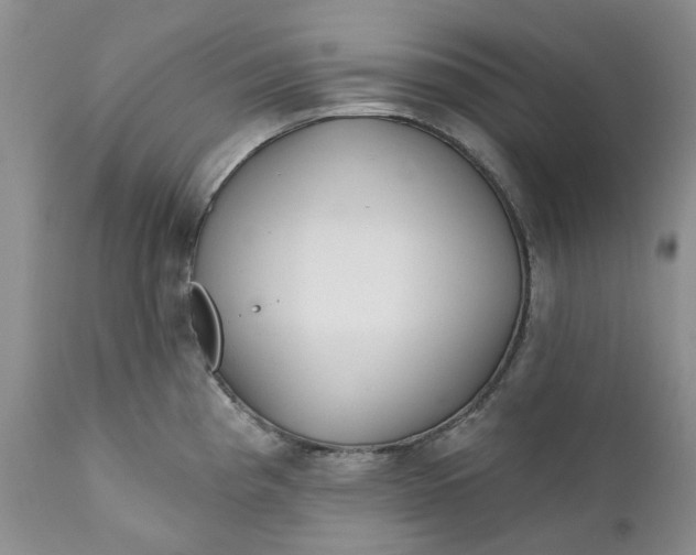 X0000112161193200908281356