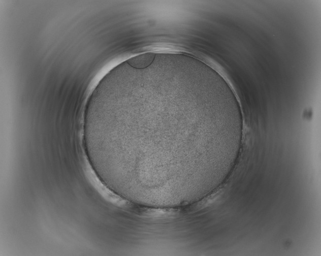 X0000112161195200908281356