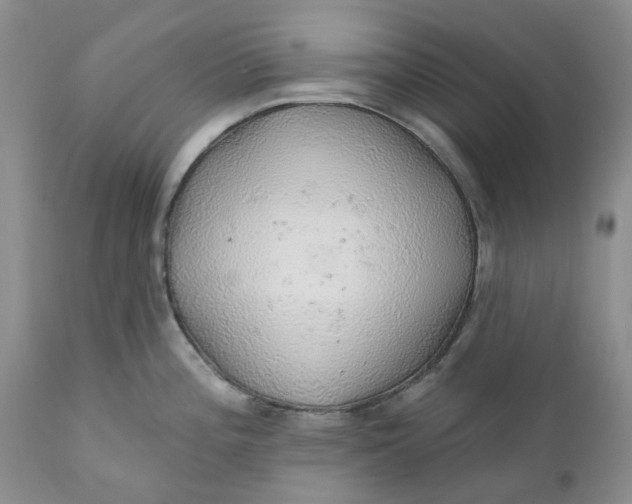 X0000112161196200908281356