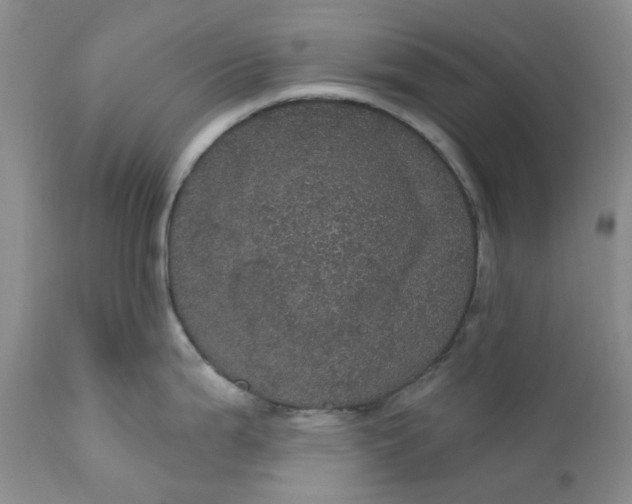 X0000112161199200908281356