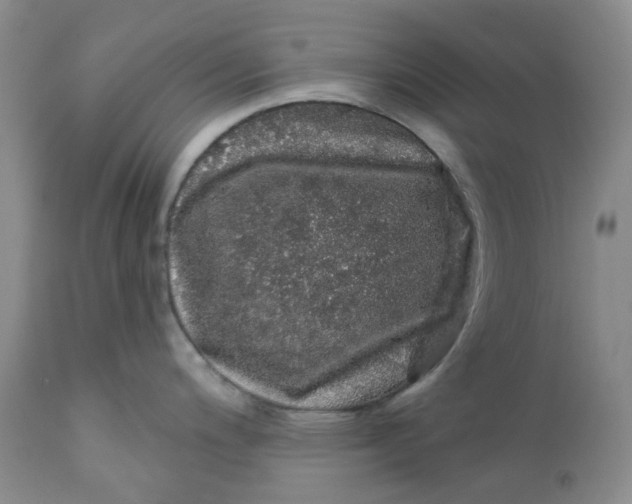 X0000112161200200908281356