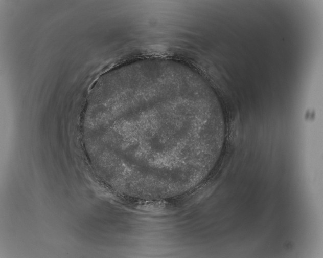 X0000112161201200908281356