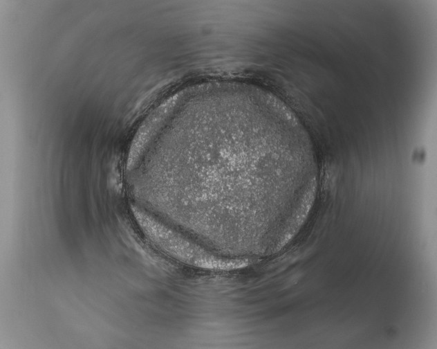 X0000112161202200908281356