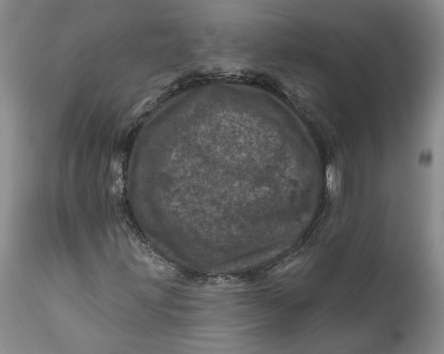 X0000112161203200908281356