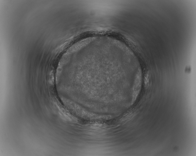 X0000112161204200908281356