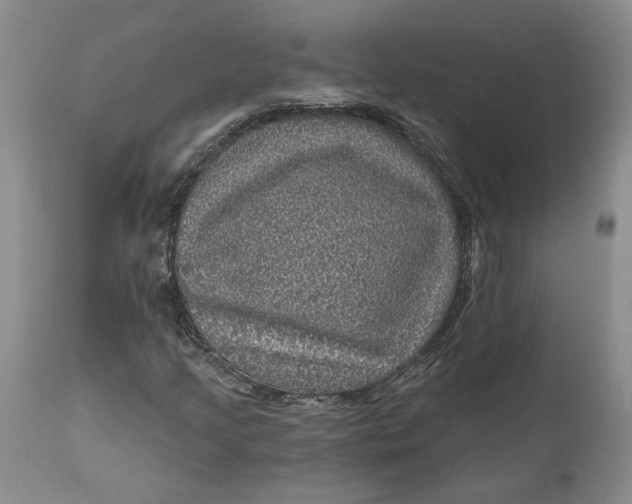 X0000112161205200908281356