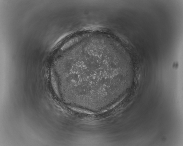 X0000112161206200908281356