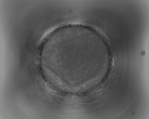 X0000112161207200908281356