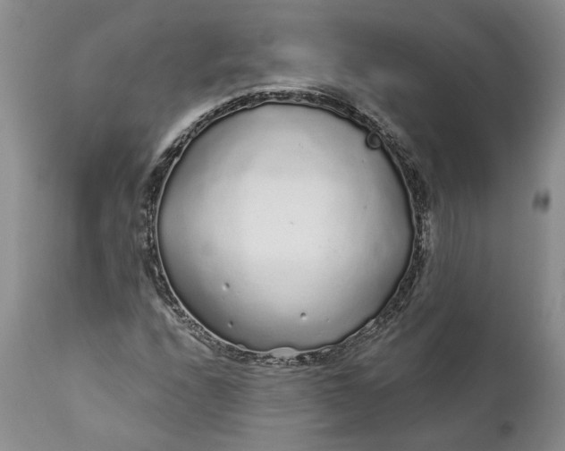 X0000112161208200908281356