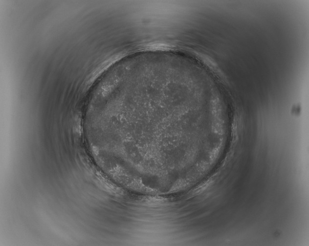 X0000112161209200908281356