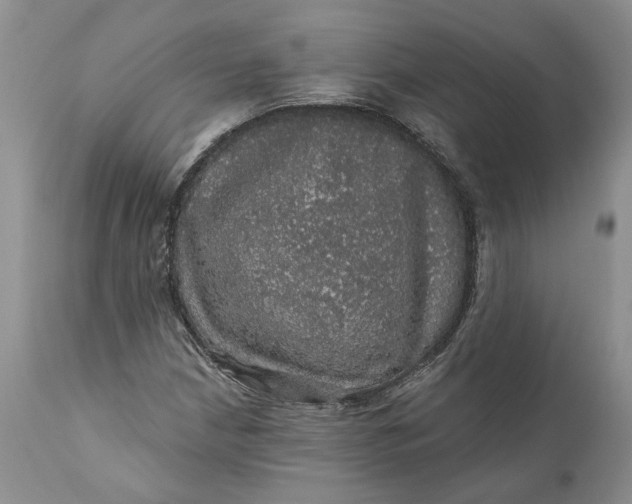 X0000112161210200908281356