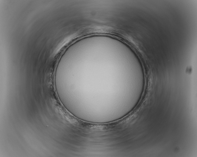 X0000112161211200908281356