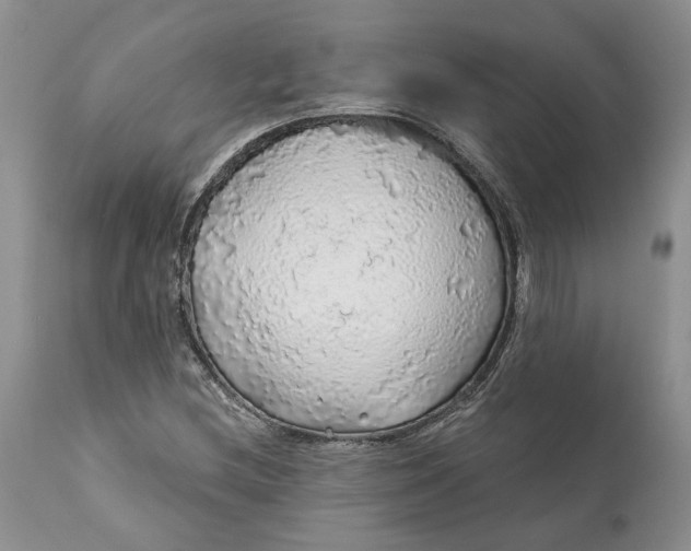 X0000112161212200908281356