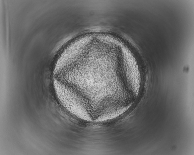 X0000112161213200908281356