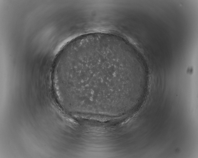 X0000112161214200908281356