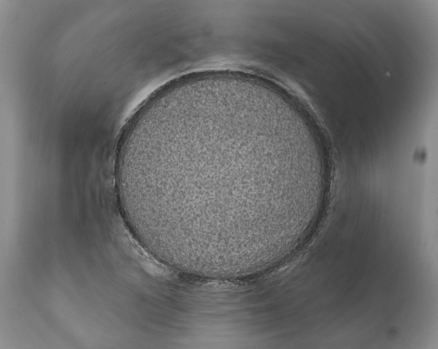 X0000112161216200908281356