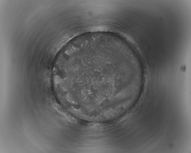 X0000112161217200908281356