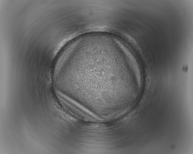 X0000112161218200908281356