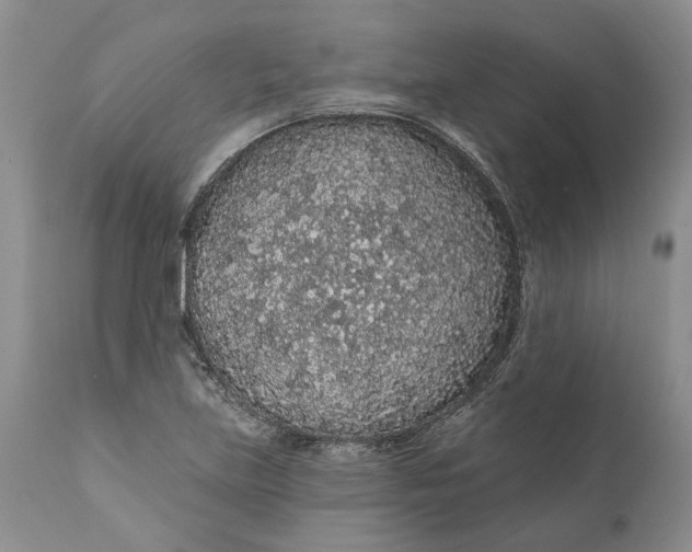 X0000112161219200908281356