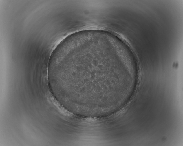 X0000112161220200908281356