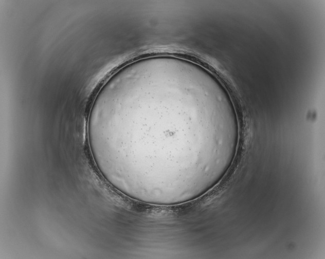 X0000112161221200908281356