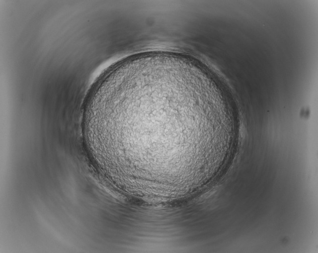 X0000112161222200908281356