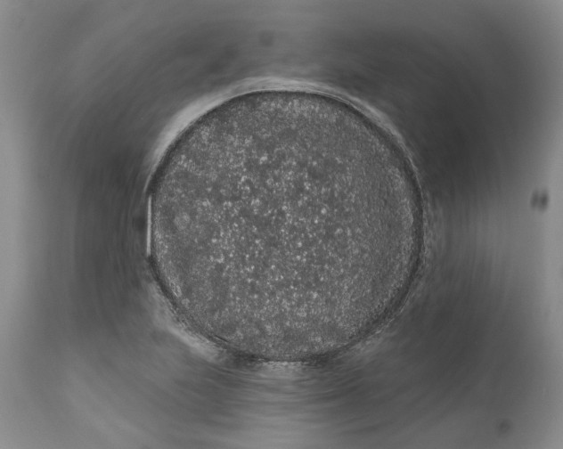 X0000112161223200908281356