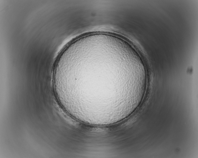 X0000112161224200908281356