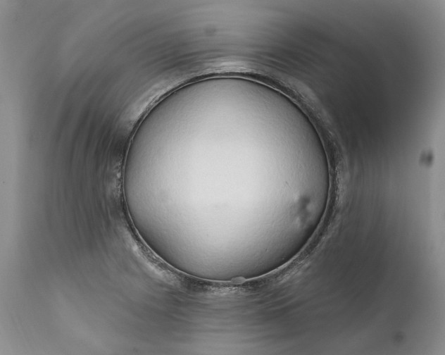 X0000112161225200908281356