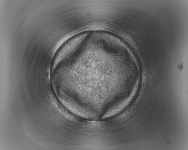 X0000112161226200908281356