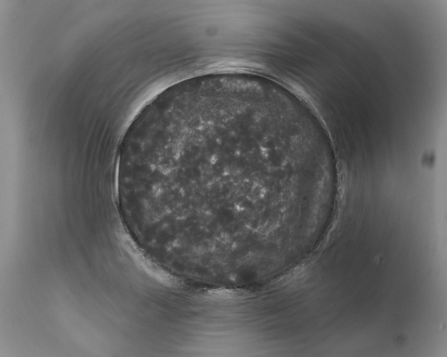 X0000112161227200908281356