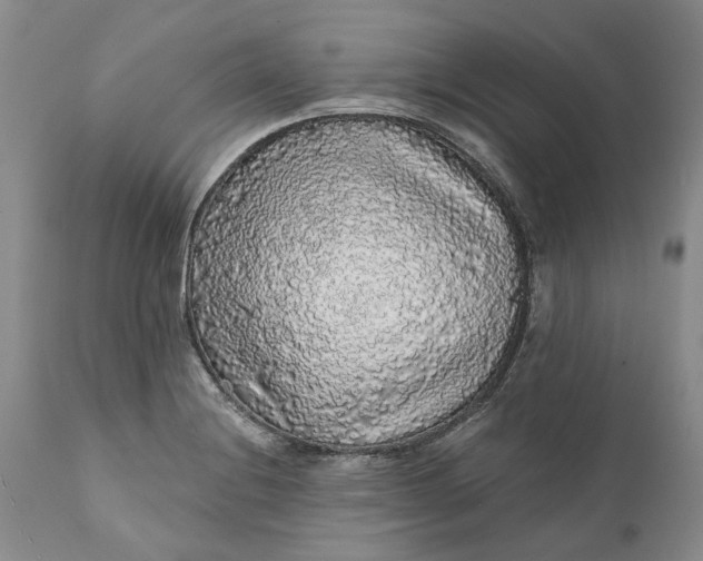 X0000112161228200908281356