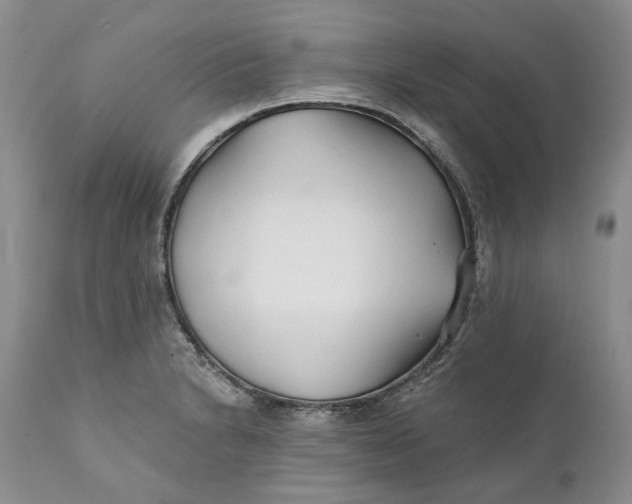 X0000112161230200908281356