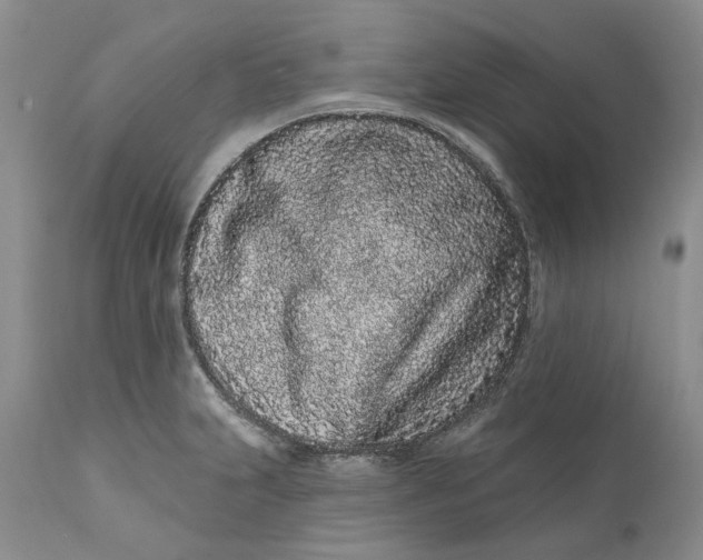 X0000112161231200908281356