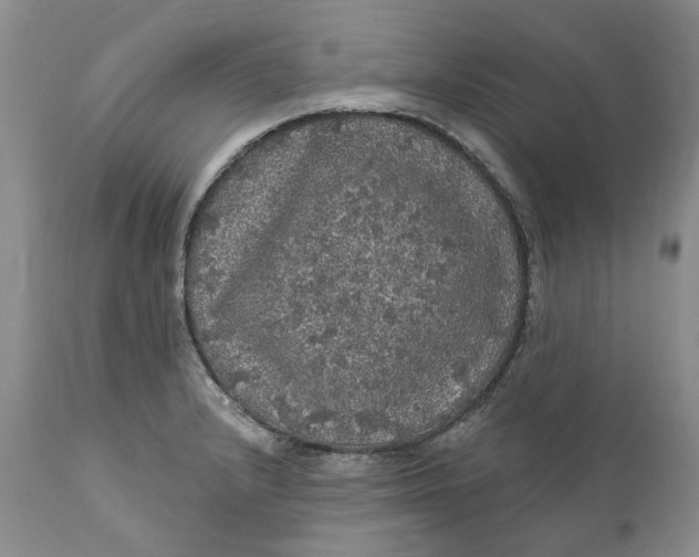 X0000112161232200908281356