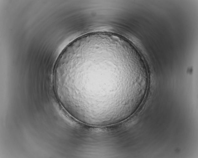 X0000112161234200908281356