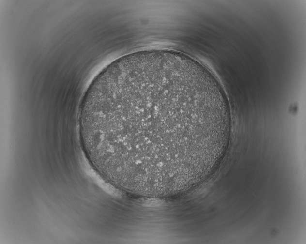 X0000112161235200908281356