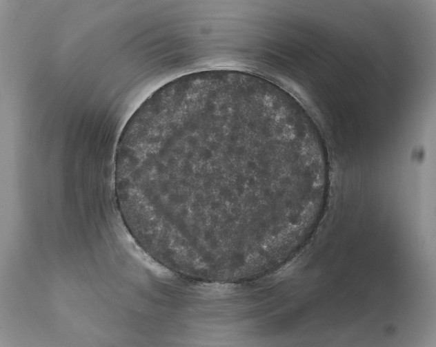 X0000112161236200908281356