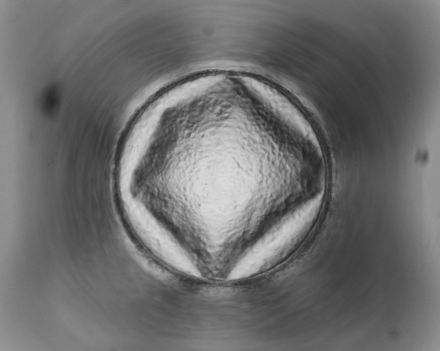 X0000112161237200908281356