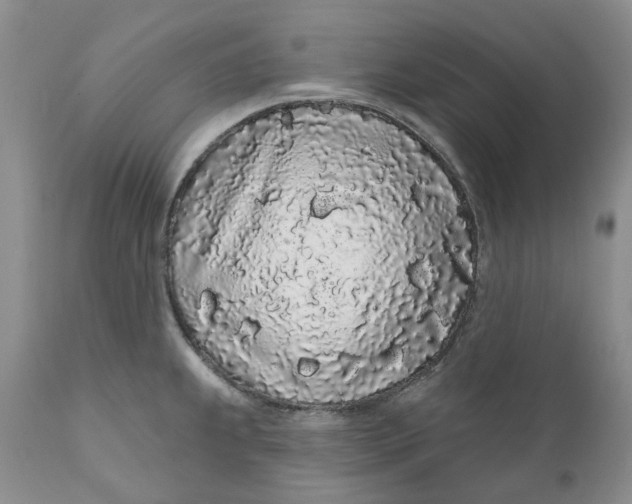 X0000112161239200908281356